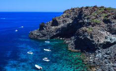 Pantelleria, torna "il fantasma del passato": trovata la presenza di un animale, &egrave; l'unica presenza in Europa