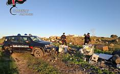 Abbandono rifiuti a Marsala: i Carabinieri Cites denunciano un 54enne e sequestrano il furgone