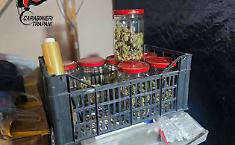 Arrestato a Erice un uomo sorpreso con quasi mezzo chilo di marijuana e attrezzature per la coltivazione