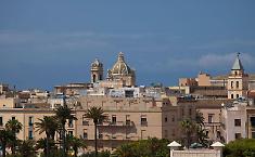 La denuncia di Erythoro: &laquo;Si sta mettendo tanto cemento e gli alberi sono sempre meno&raquo;