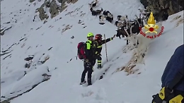 Capre disperse a quota 2.500 salvate dai vigili del fuoco (con un elicottero)