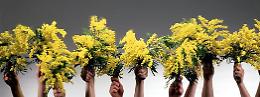 Festa della Donna: iniziativa del sindacato dei fiorai della provincia agrigentina