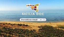 Vino, cresce la doc Sicilia, nel 2019 prodotte 95 milioni di bottiglie (+19% )