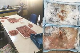 Acireale, pesce alterato venduto in casa popolare da un pregiudicato con reddito di cittadinanza