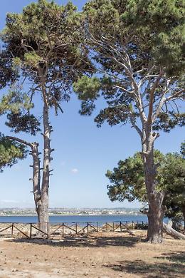 L' Isola di Mozia riapre ai visitatori