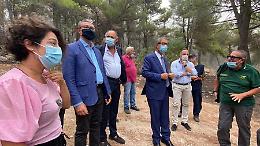 Altofonte, sindaco ringrazia tutti dopo incendio: «Ricostruiremo»