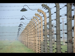 Nega la Shoah e irride Primo Levi, prof sotto inchiesta a Palermo