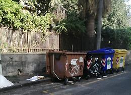 Catania, via Basile: "W i gatti,  i topi e le blatte"