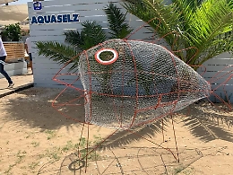 Un pesce mangiaplastica in tutte le spiagge agrigentine