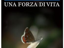 Il mondo di Laura e il coraggio di vivere