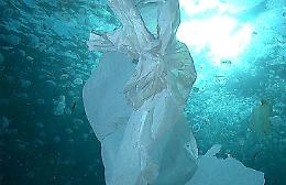 Ambiente, a Lampedusa e Linosa vietati sacchetti e stoviglie di plastica