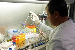 Coronavirus, pandemia si sposter&agrave; verso altri continenti