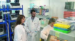 Sonia Quaratino, «La mia carriera di immunologa a Cambridge. In Sicilia porte chiuse»