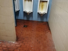 Stadio Massimino: bagni impraticabili nonostante la nazionale di rugby