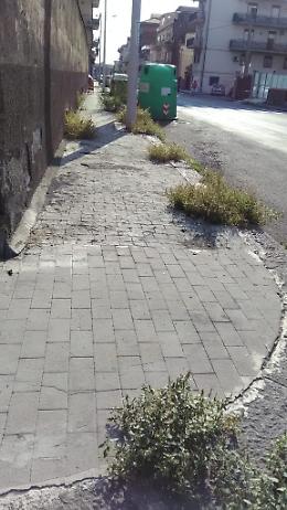 Catania, via Negrelli angolo via Stoppani: marciapiedi impraticabili per vegetazione incolta