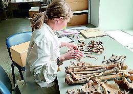 Di cosa soffrivano (e morivano) i siciliani dal Neolitico all&rsquo;Et&agrave; Moderna?