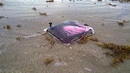 Borsoni carichi di marijuana galleggiavano nel mare di Augusta