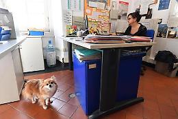 Con il proprio cane a lavorare in ufficio? A Genova si può