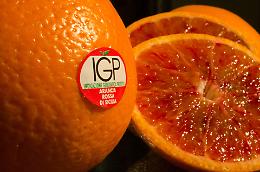 Export, torna a crescere il made in Sicily: +37% rispetto al 2016