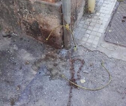 Litiga con i vicini e abbandona il cane legandolo a un palo: denunciata