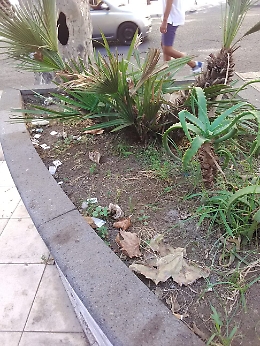 Catania, "Povera città abbandonata!"