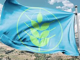 L'agricoltura iblea l'unica in Sicilia a ricevere le «Spighe verdi»