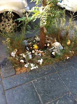 Catania, chi guarda le aiuole del centro storico resta schifato