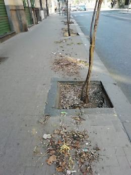 "Completare il lavoro no?" Viale regina Margherita, Catania