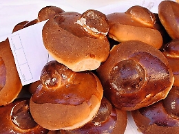 Le brioches fatte con la farina di "pastazzo" superano l'esame