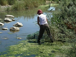Ferragosto nella Riserva dell’Imera: quattro giorni di eventi naturalistici