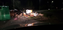 San Giovanni Galermo: cani randagi scorrazzano nel territorio