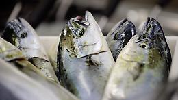 Le Isole Egadi "celebrano" il capone