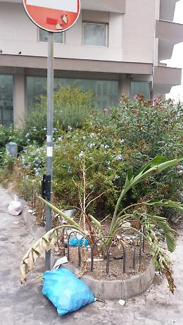 Catania, verde pubblico: tutto tace nella più completa indifferenza