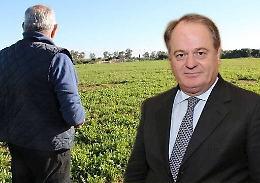 Agricoltura in Sicilia, l’assessore Cracolici «A inizio 2016 i bandi per attivare la spesa»