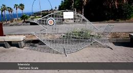 Catania, Rotary e Comune insieme per i pesci "mangia plastica"