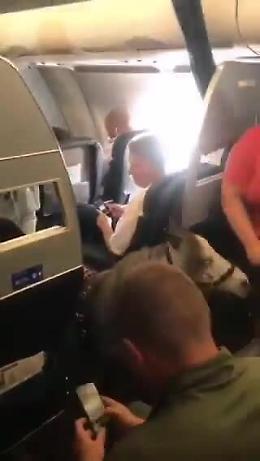 Un pony sale sull'aereo: la sorpresa dei passeggeri