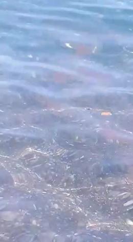 Recanati: mare balneabile?