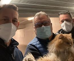 Ritrovato il gatto Grisù: capotreno lo scambia per randagio e lo fa scendere