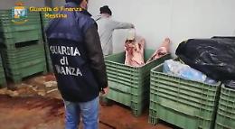 Sequestrati a Mongiuffi Melia macello e allevamento clandestini