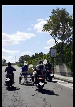 Catania, "allenavano" un pony sulle strade di Zia Lisa: cinque denunciati