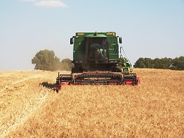 Canicattì, la trebbiatura dei cereali nelle terre confiscate alla mafia