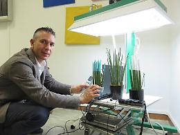 L'idea geniale di Carlo Trigona: «Sensori elettronici al silicio? Meglio le piante»