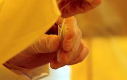 A Catania un team per gestire tempi di attesa per positivi in isolamento