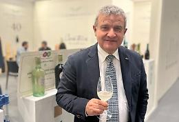 Modelli sostenibili, la Sicilia al Vinitaly: Colomba Bianca presenta le prime 30mila bottiglie responsabili