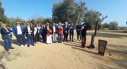 Il sindaco Micciché nel Giardino dei Giusti della Valle dei Templi per commemorare Giovanni Falcone