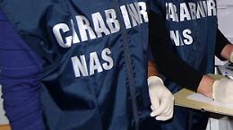 Sequestrata carne, ma anche pesce, perché non rintracciabile la provenienza, ad uno stabilimento balneare di San Leone