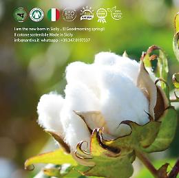 Ovs, accordo con l'azienda Santiva di Pollina: produrrà cotone bio