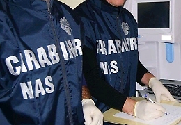 Agrigento, sequestrati 27 chilogrammi di pesce in uno stabilimento balneare
