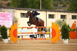 Cavalieri e amazzoni di otto Nazioni in gara alla 37ª Coppa degli Assi