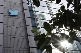 Twitter: asta oggetti sede San Francisco, anche statua uccellino